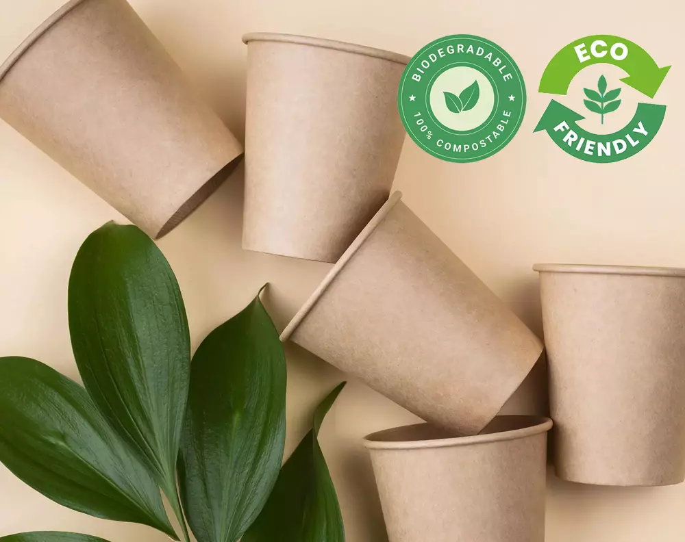 Eco friendly paper cups