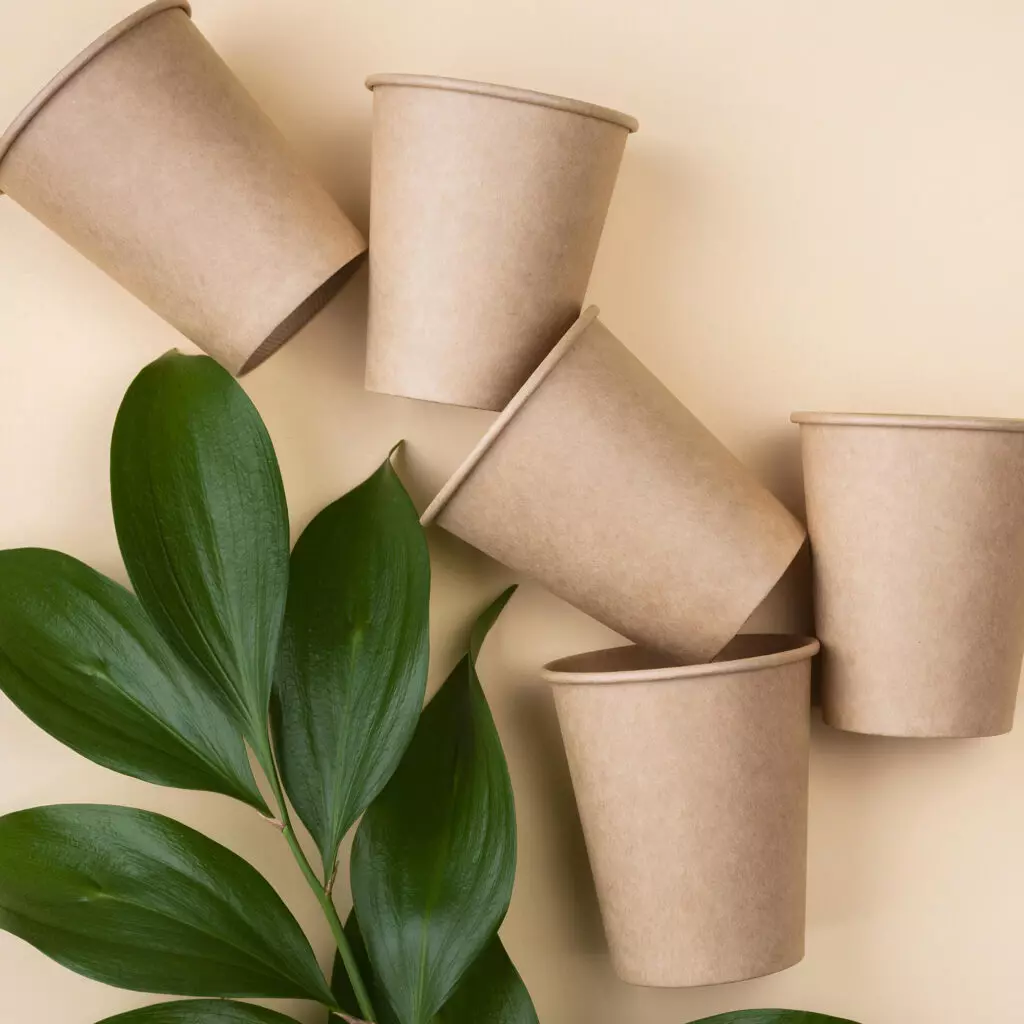 eco cups
